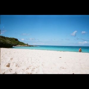 Meet your Posher, Terry